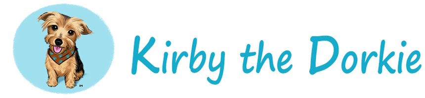 Kirby the Dorkie
