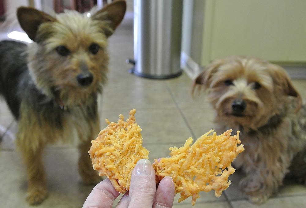 Ezy Cheezy Treats