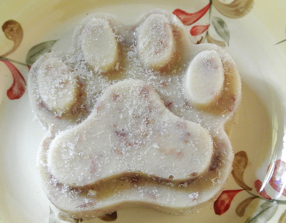 Did You Say Bacon? Pupsicles