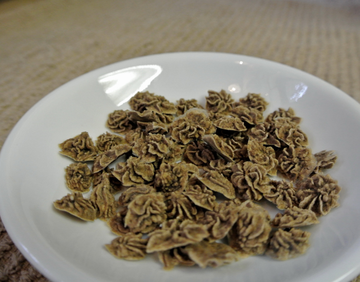 Canned Dog Food Treats