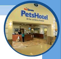 PetSmart Doggie Day Camp