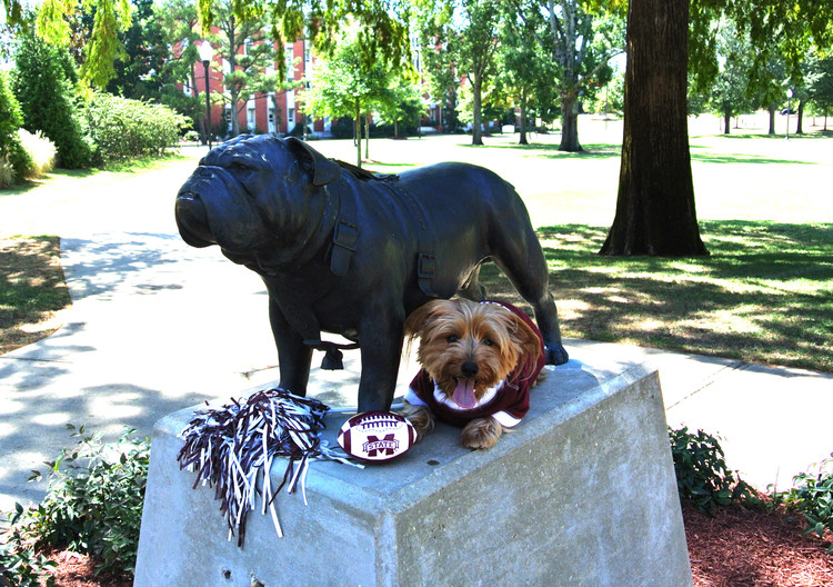 Starkville, Mississippi