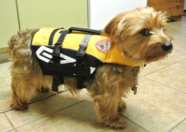 EzyDog Life Vest