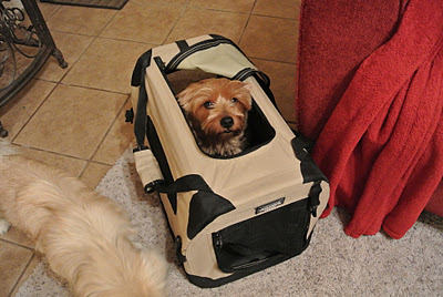 PetNation Port-a-crate