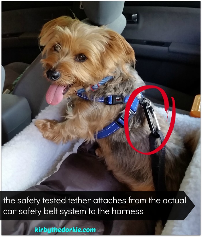 Solvit Pet Safety Seat