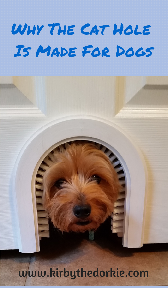 The Cat Hole