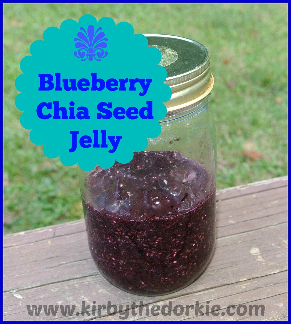 Blueberry Chia Seed Jelly