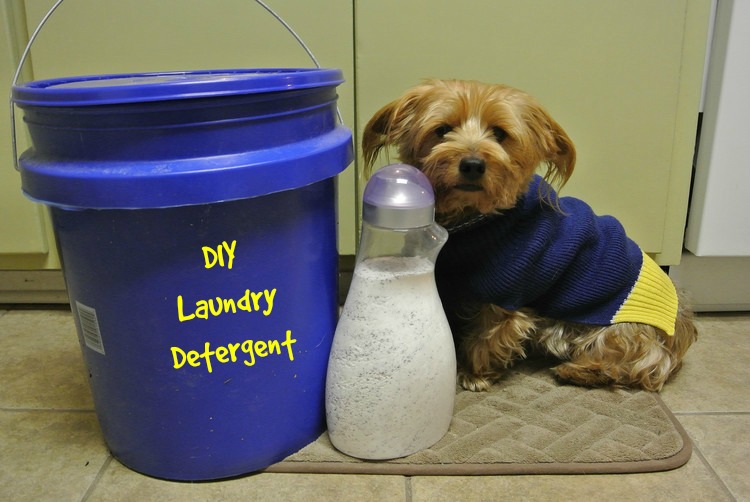 DIY Laundry Detergent
