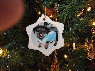 Tree Ornament