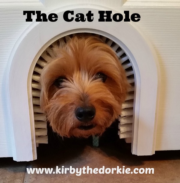 The Cat Hole