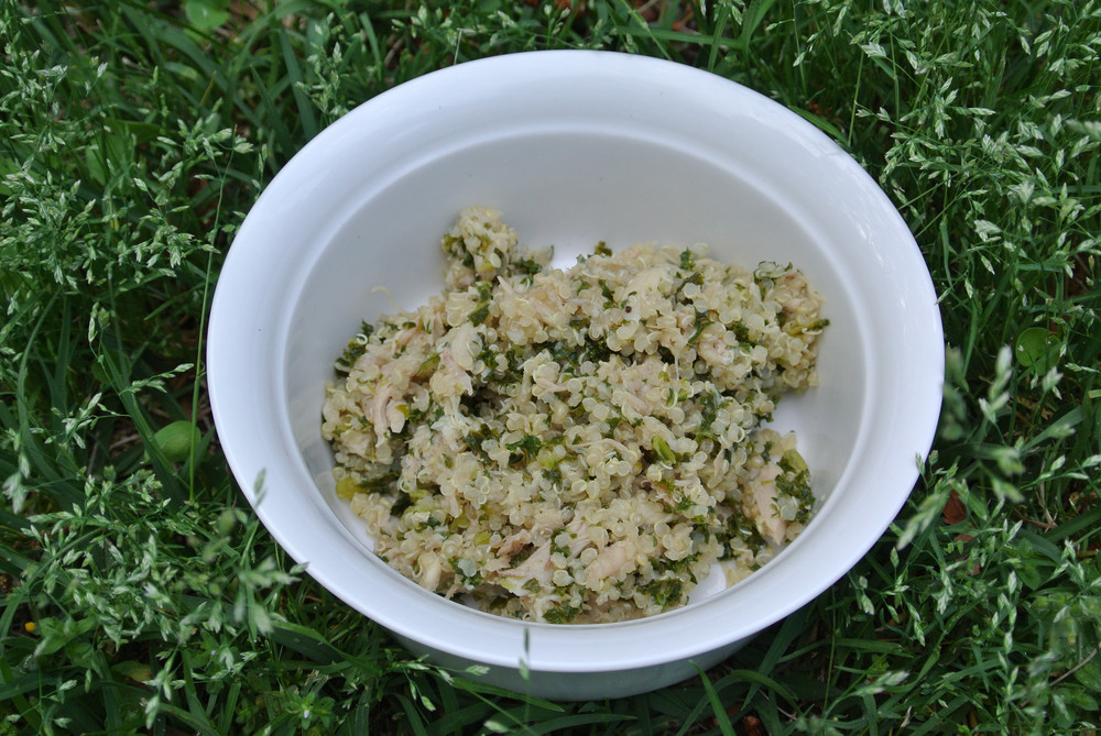 Chicken, Quinoa & Kale