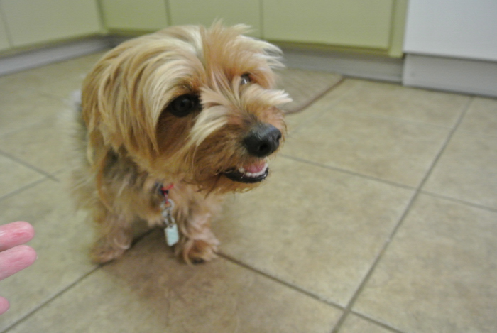 It's very chewy sticky peanut butter!