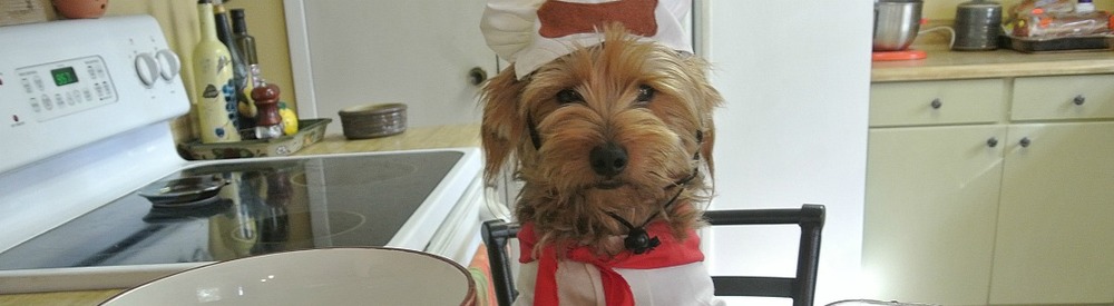 canine nutrition 1100.jpg