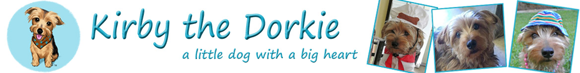 Kirby the Dorkie